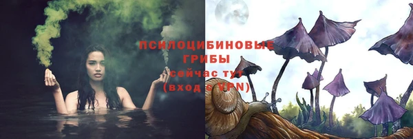 герыч Зерноград