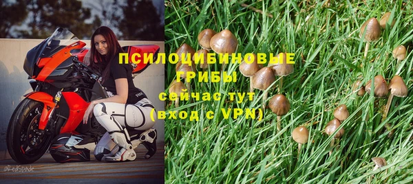 дурь Зеленокумск