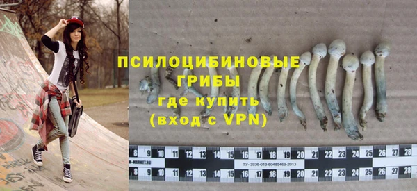 2c-b Иннополис